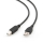Kabel Gembird Kabel USB - USB-B 1m (do drukarki)